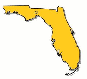 FL Limo Ins.